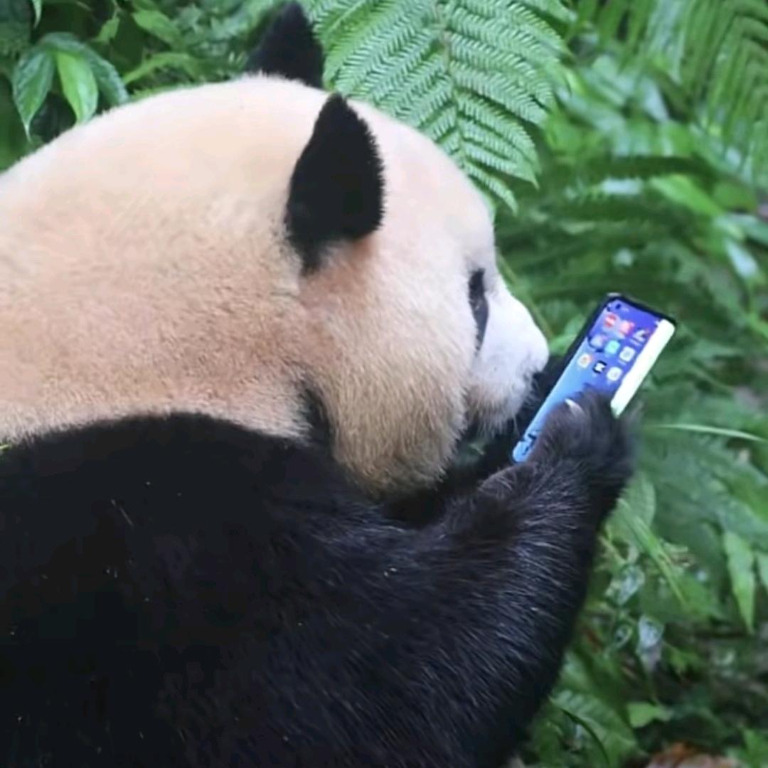 708落落落落