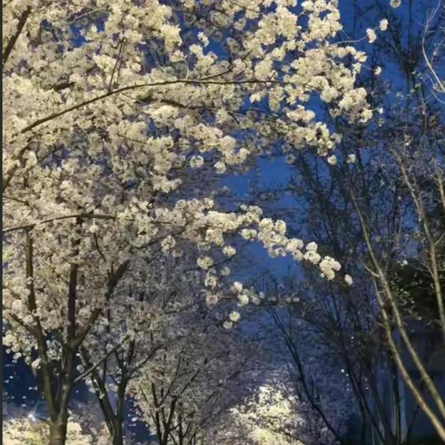 时尚生活精选小铺O1G