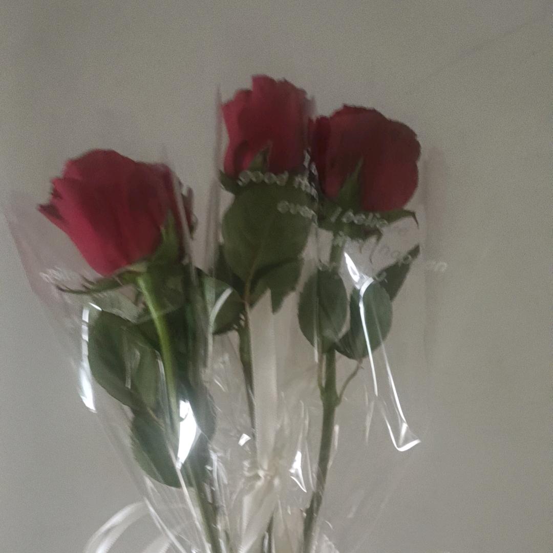 🥀ꦿ春姑娘呀꧔ꦿ᭄