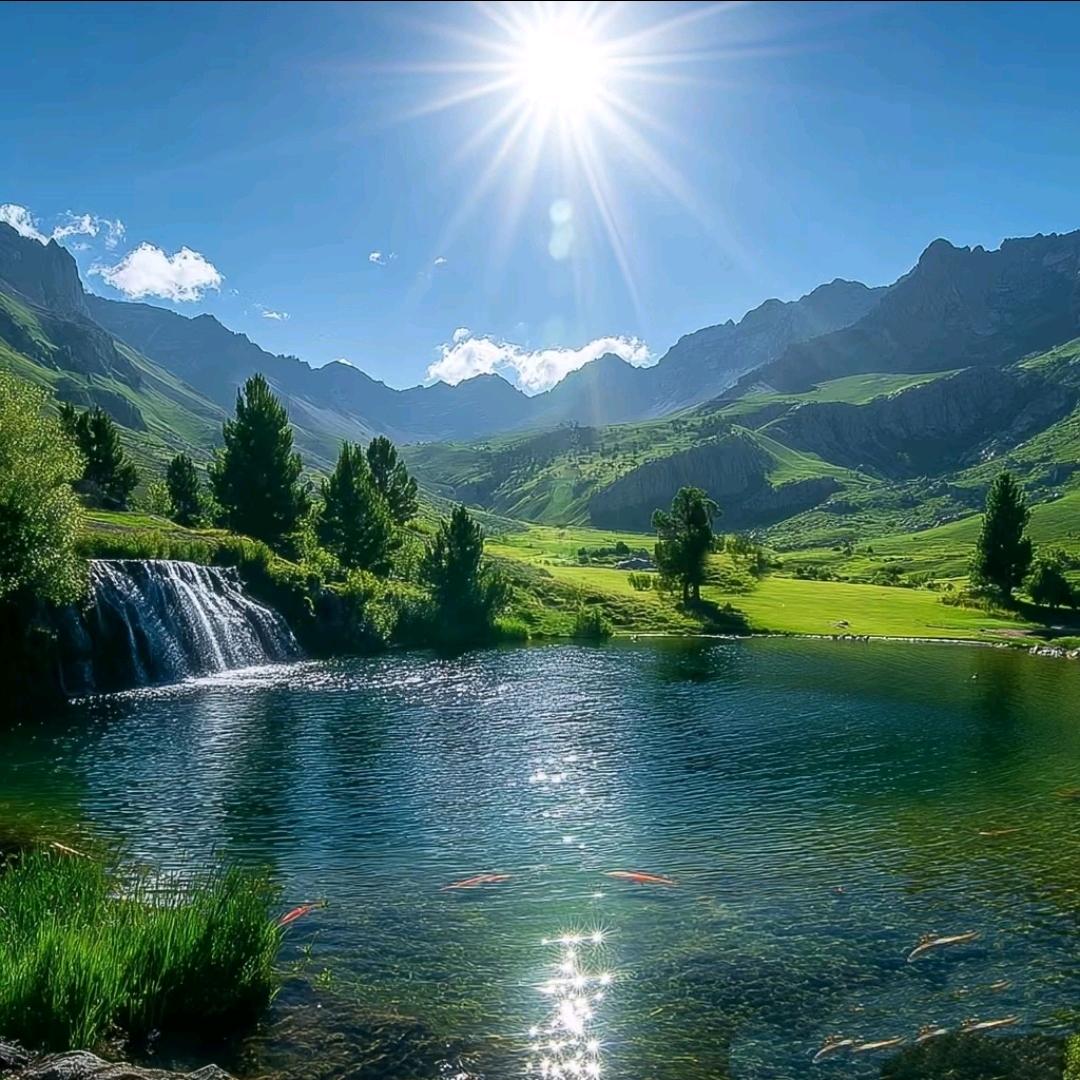 ℳঞᩚ前程🌱似锦꧔ꦿིྀ