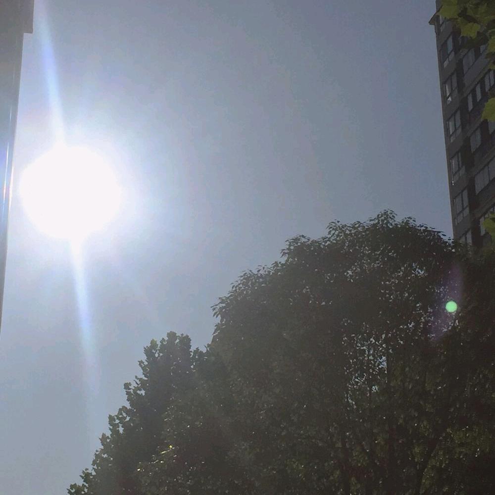 🌻时过境迁