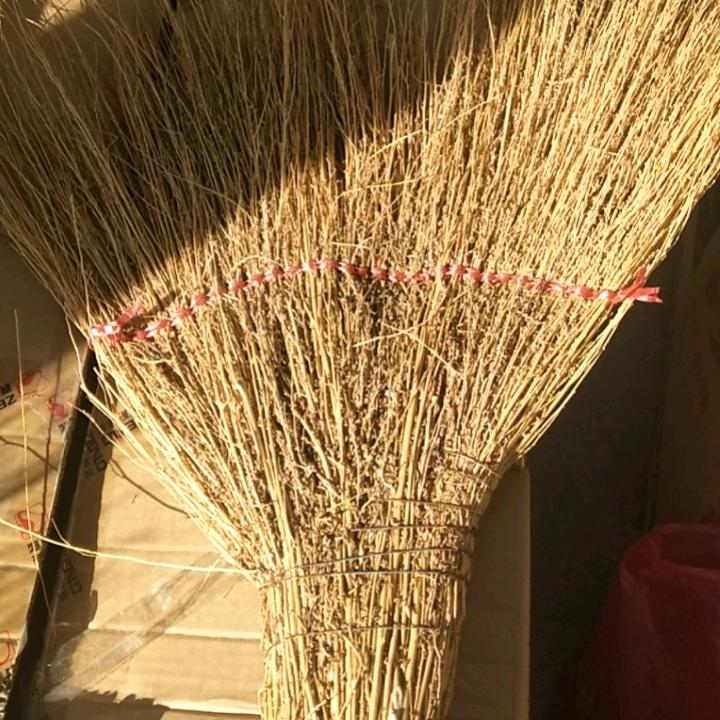 清波