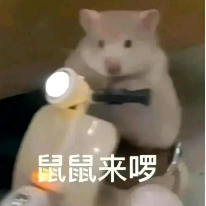 瑀