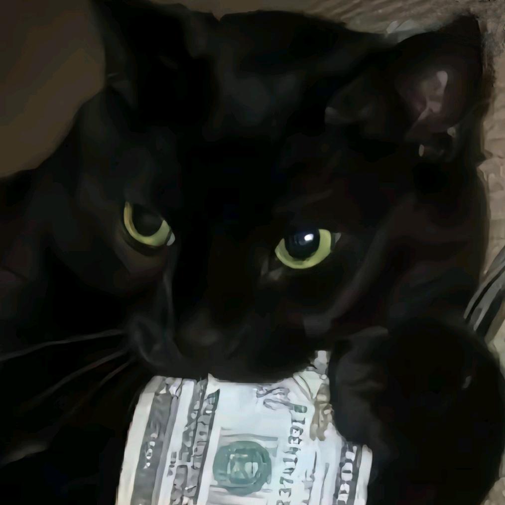 黑猫猫猫猫