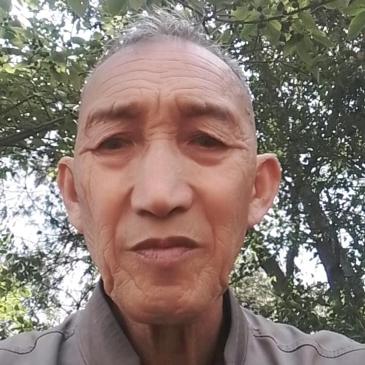 老湛