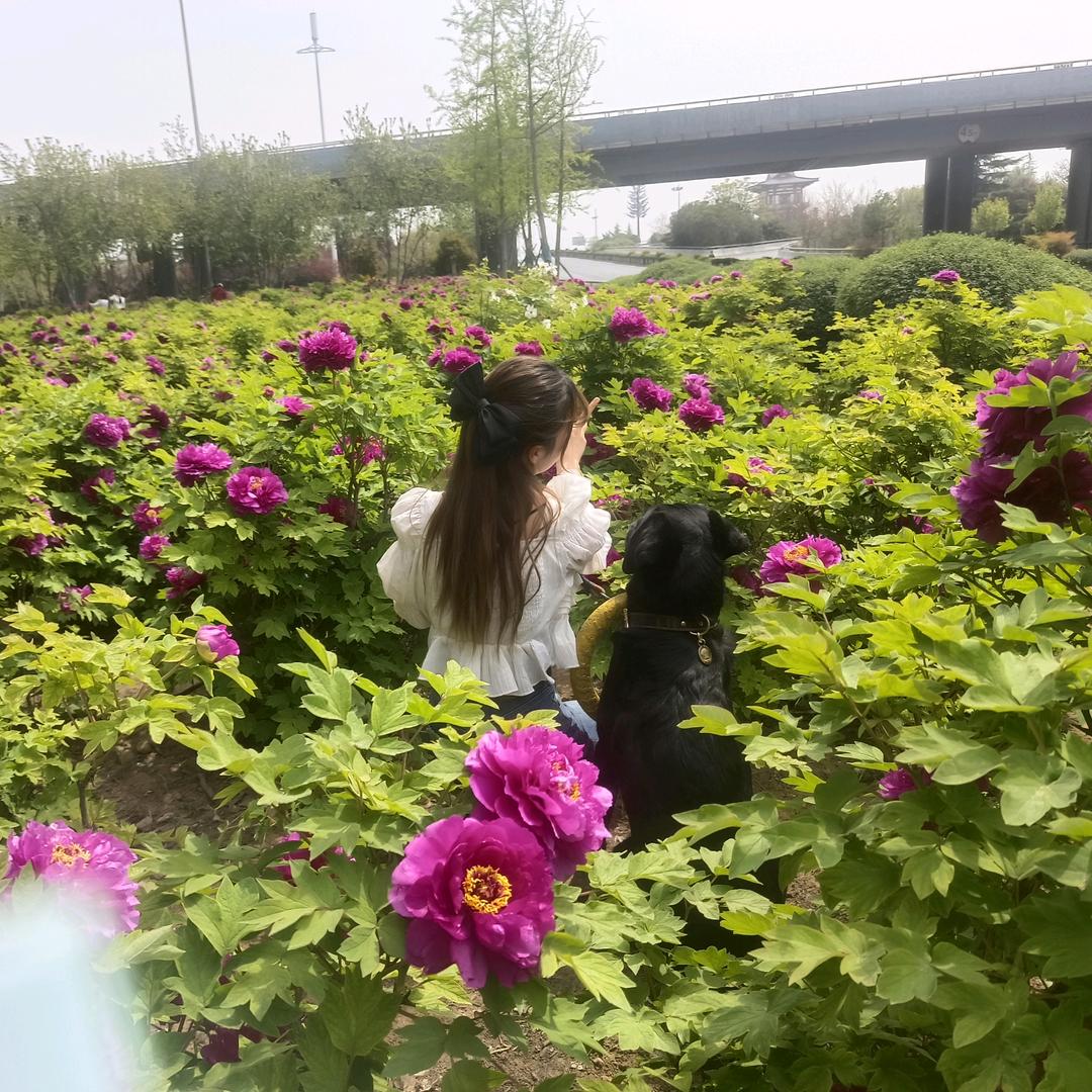 她们和他的老母亲😍