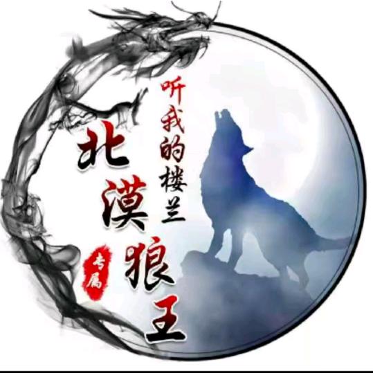 🔥北漠狼王🔥