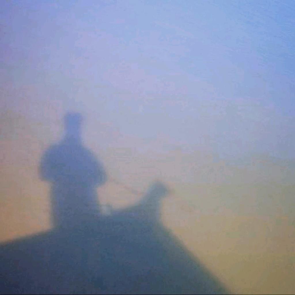 赣A·牧师罗素梗
