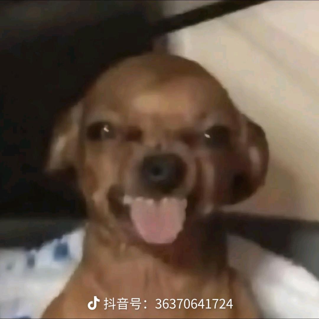 困难就像弹簧