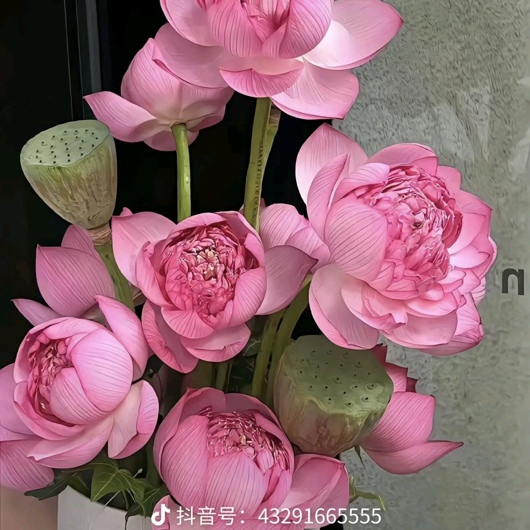 陈旧  时光