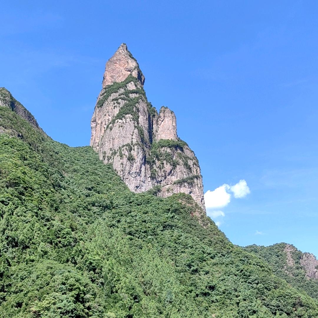 聚乙烯醇徐