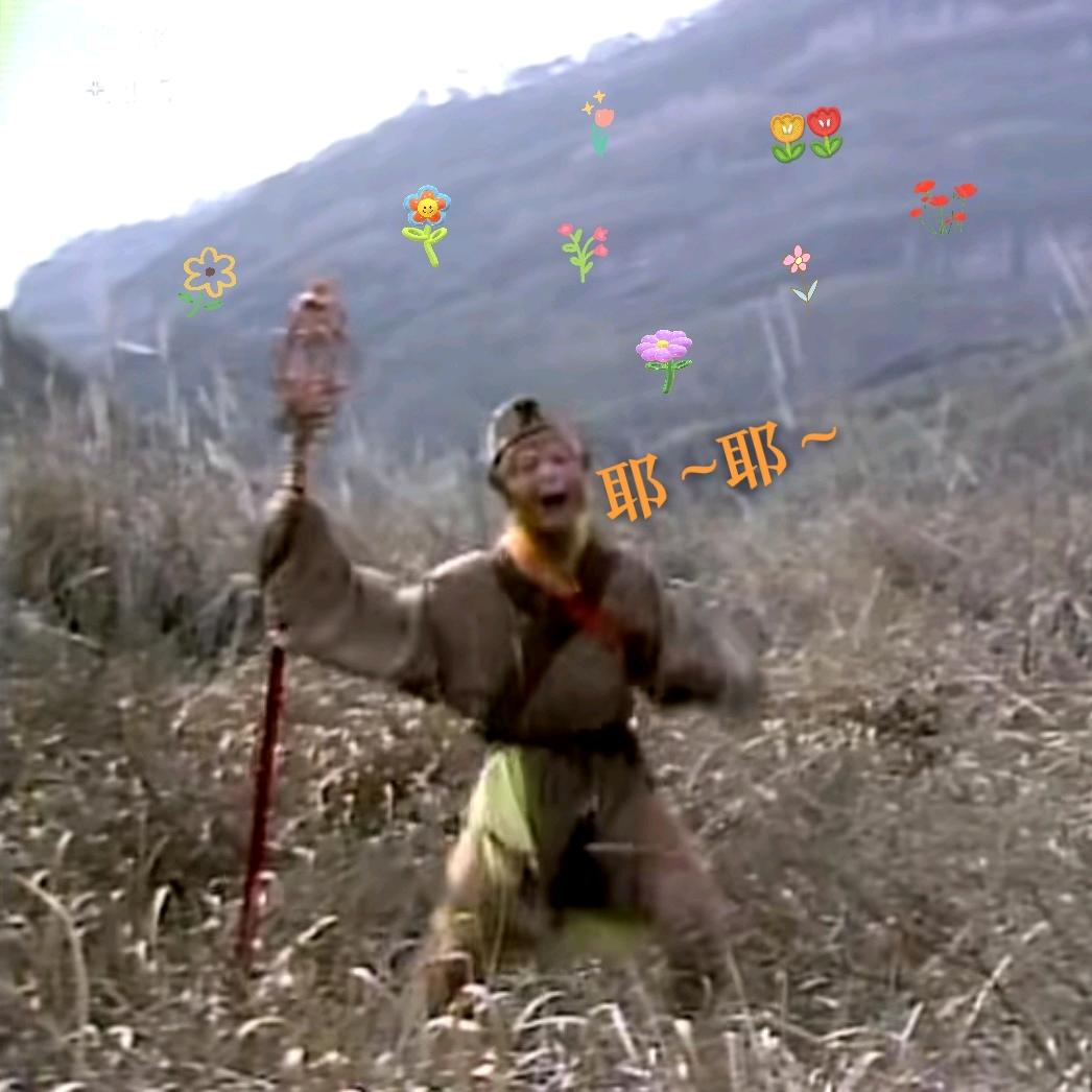 山哒哒花开猴耶耶