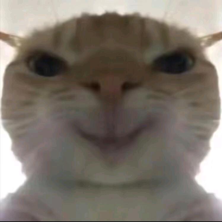 非常菜的主播