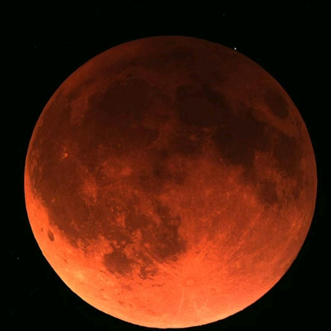 满山的猴子腚最红🐒