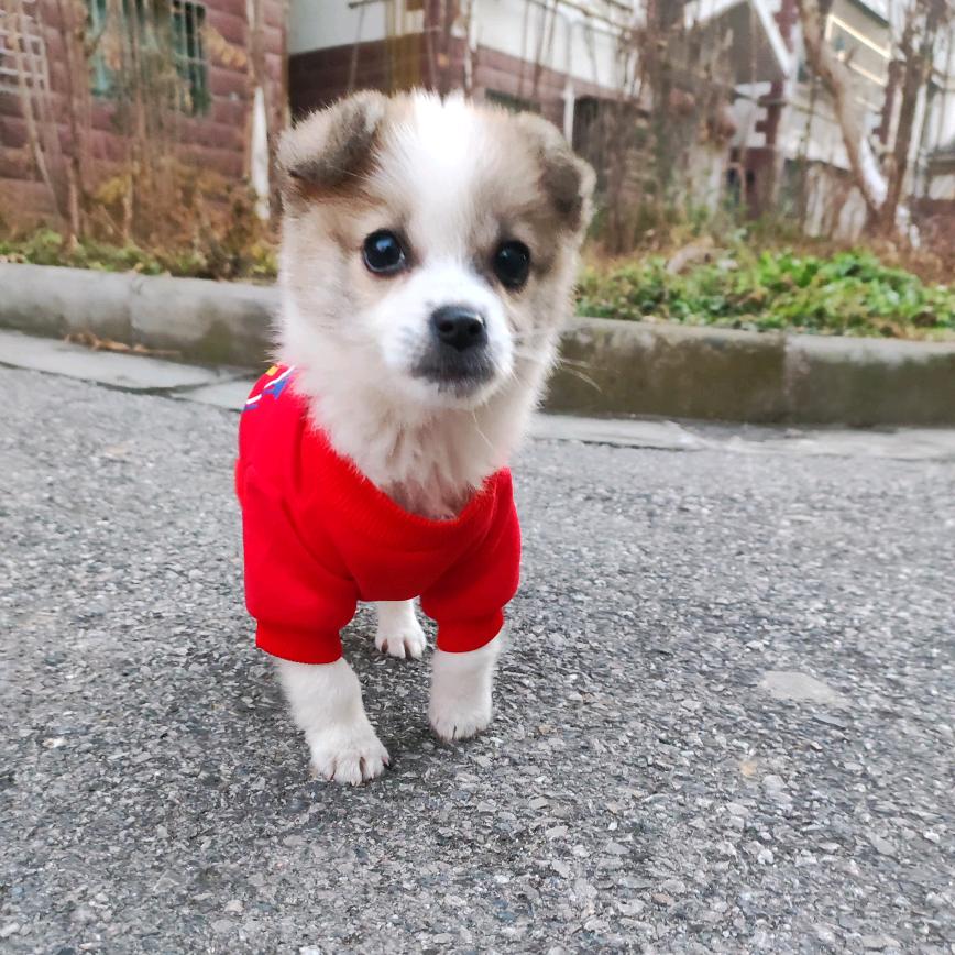 蜗牛🐌