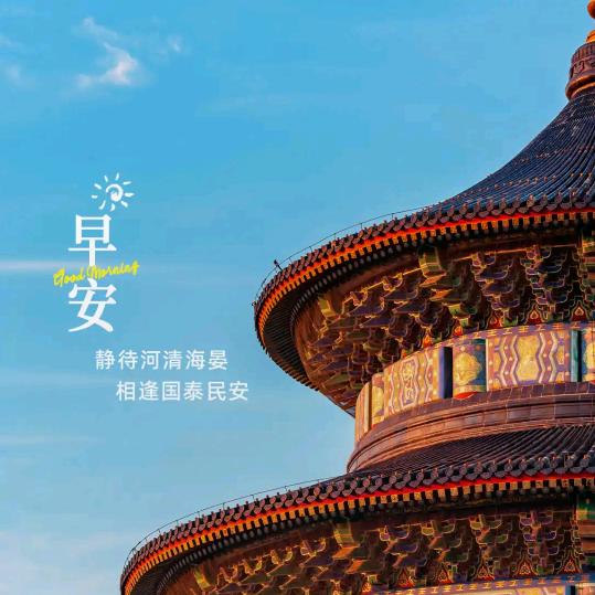 皮的老大