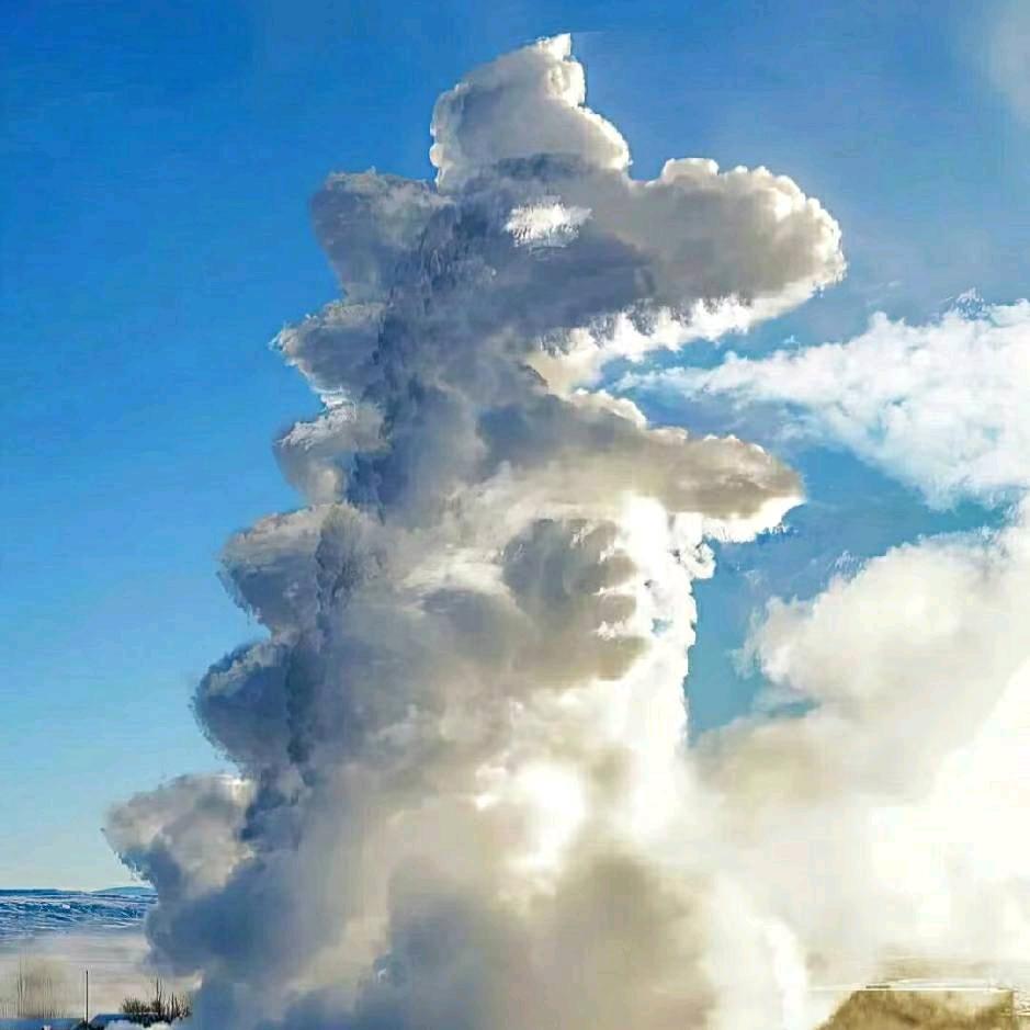 梓岛  泽川头像