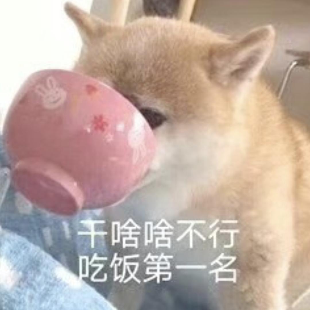 旦猪