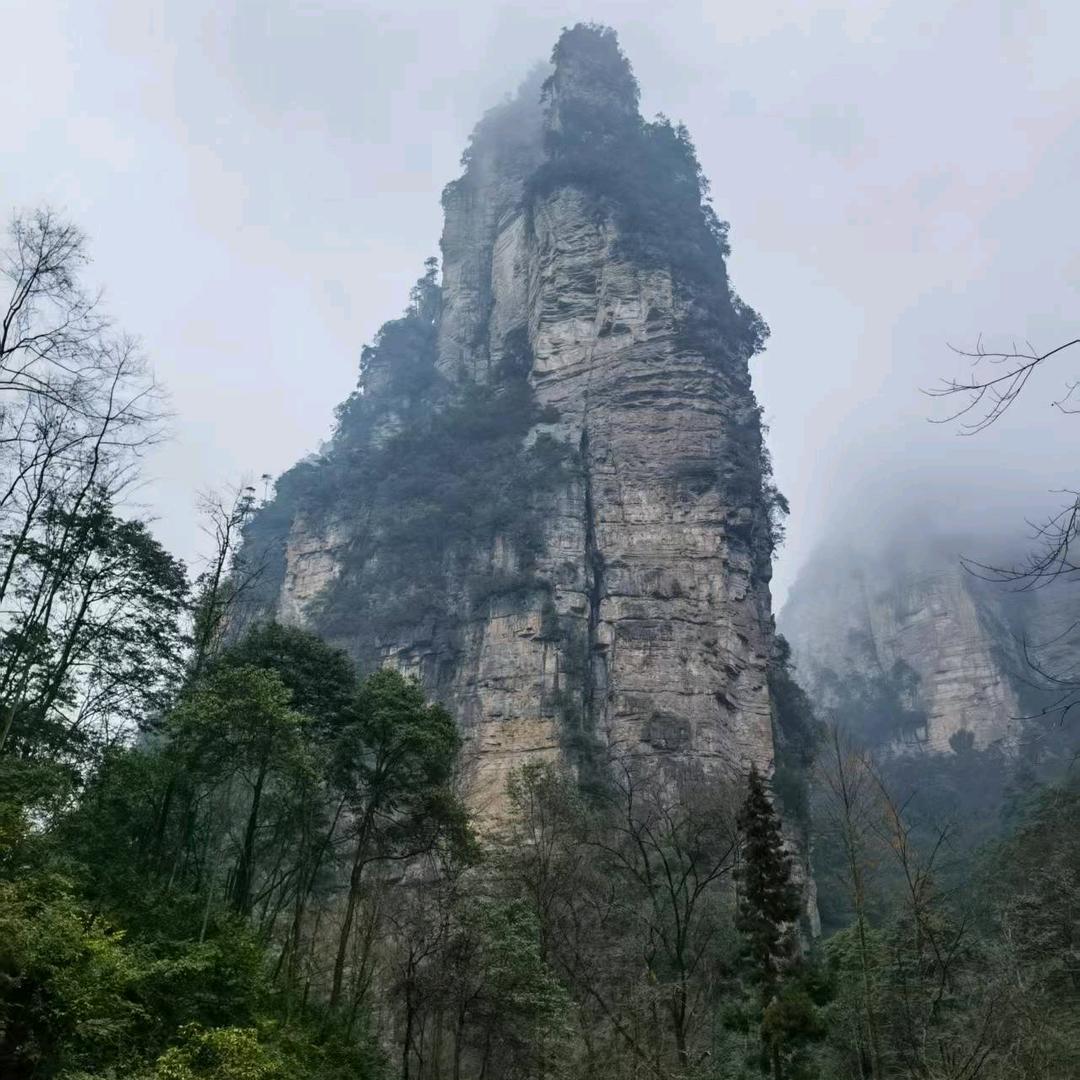 小谷大蒜