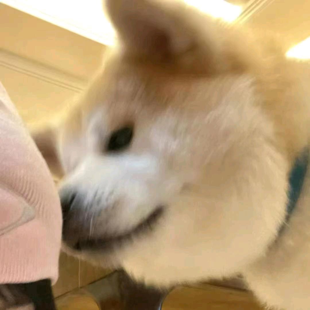 无言
