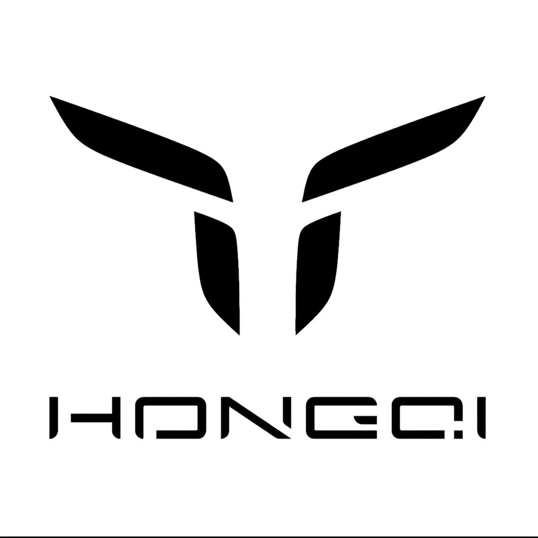 金山红旗新能源🐸