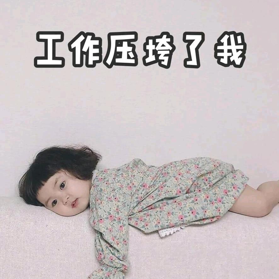 自由的风