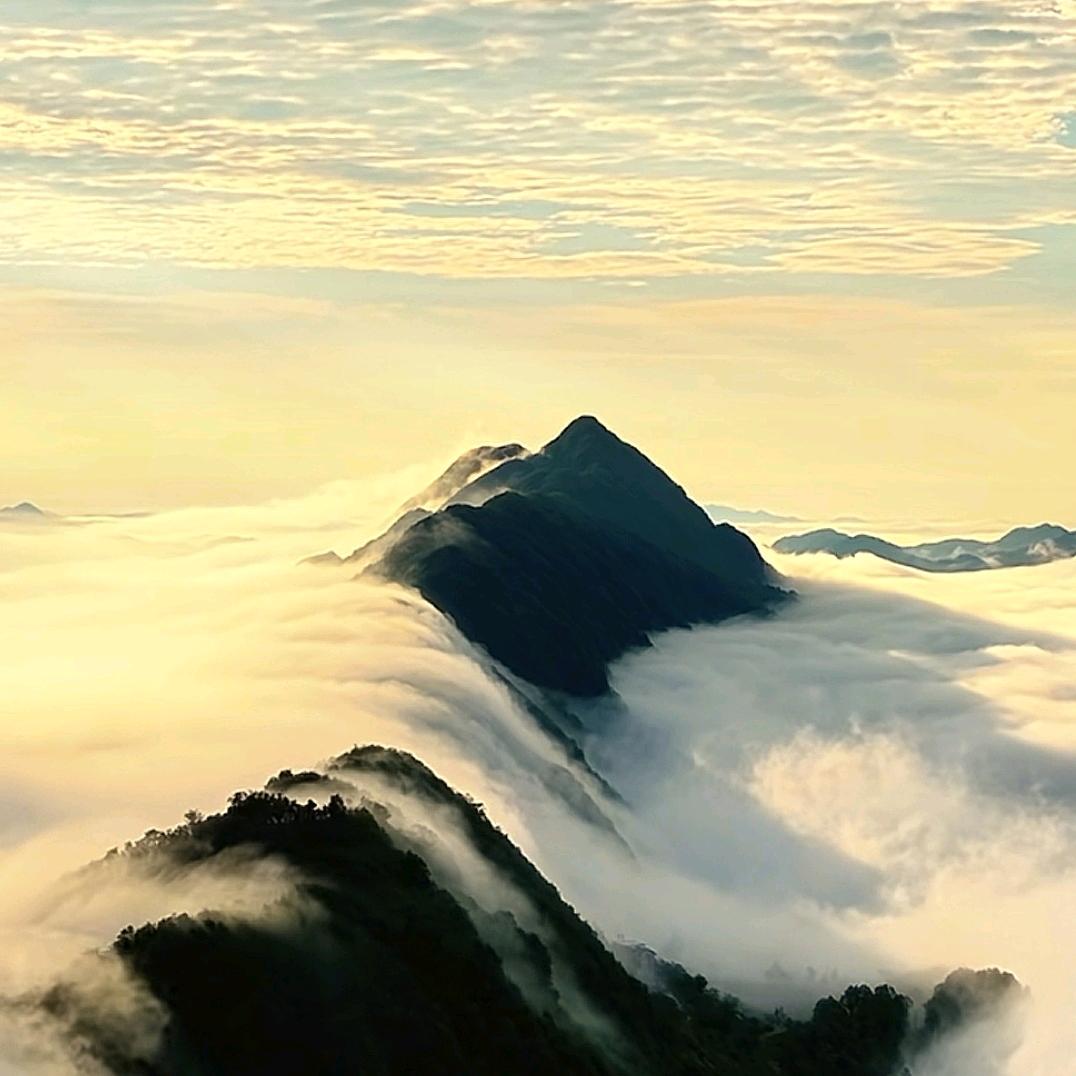 心静性闲