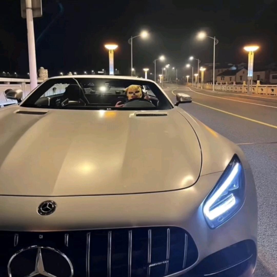 爱意藏心间回森业务+