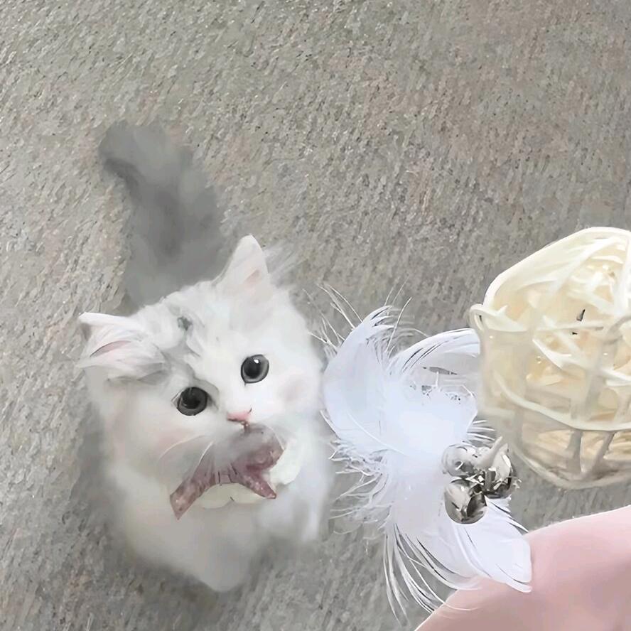 小困🐟