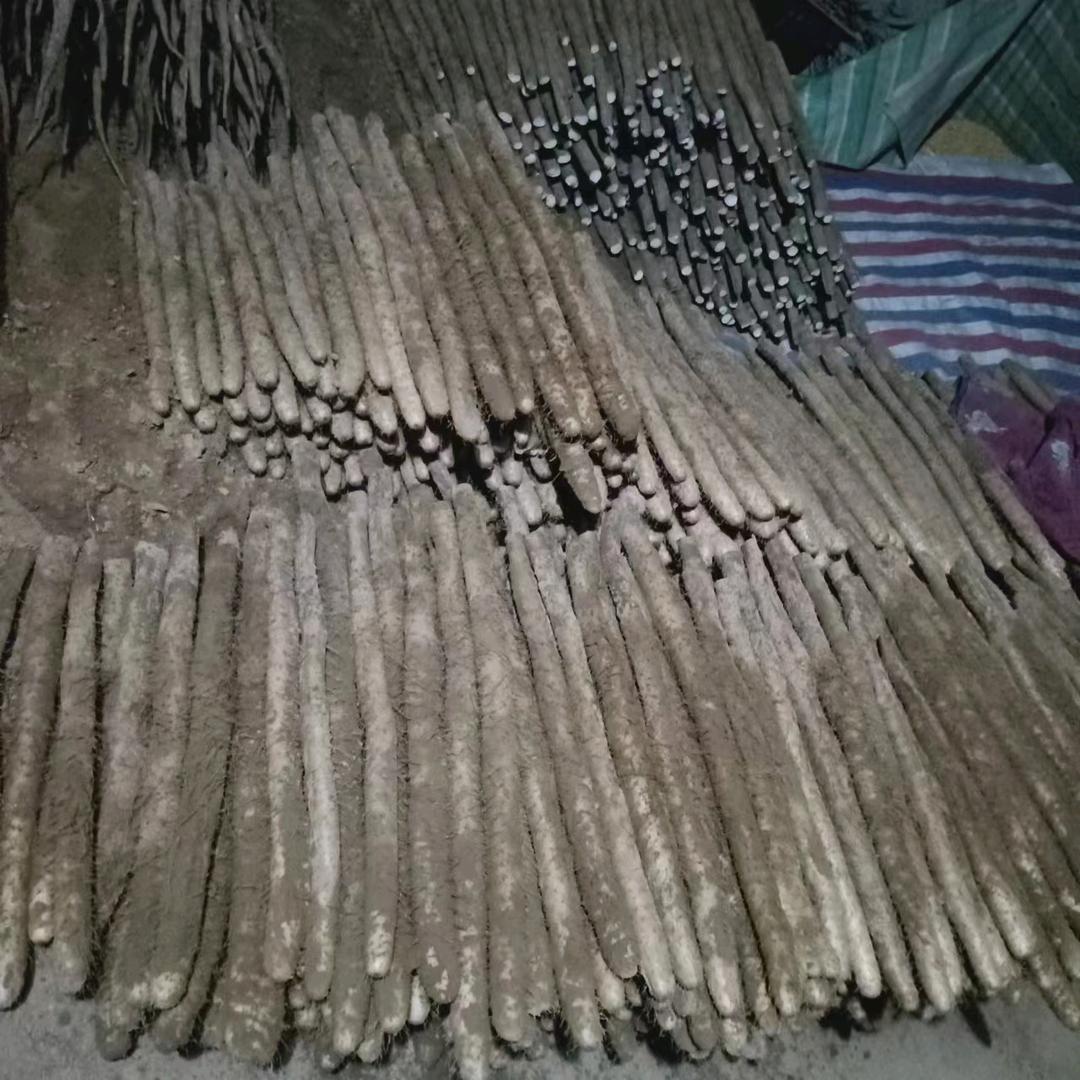 执着