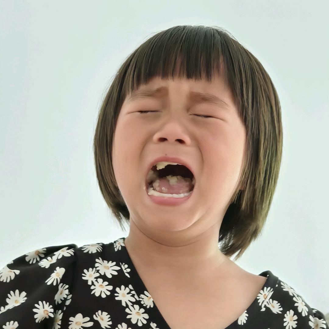 莱茵蒂克丝爱种菜