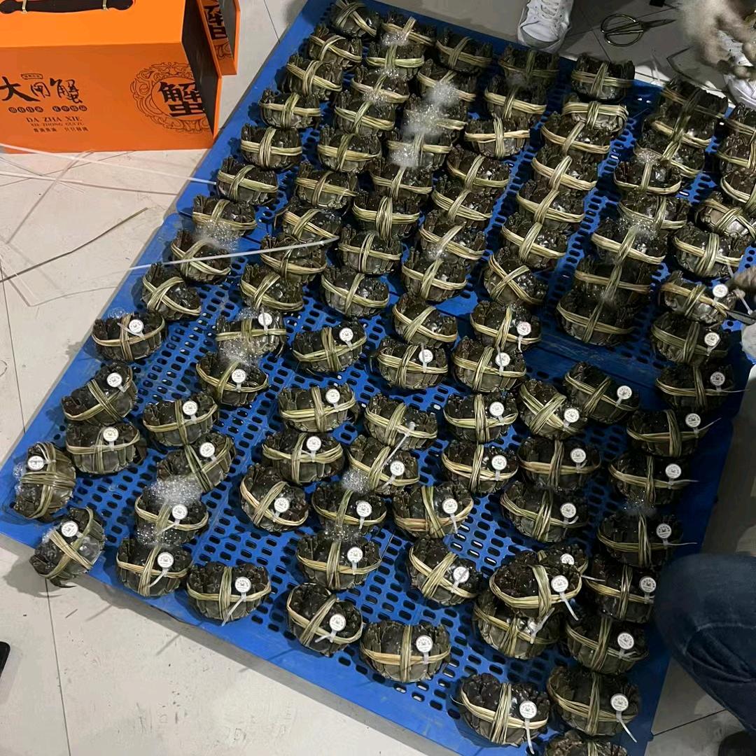 💫精品🌟螃蟹✨️批发🦀