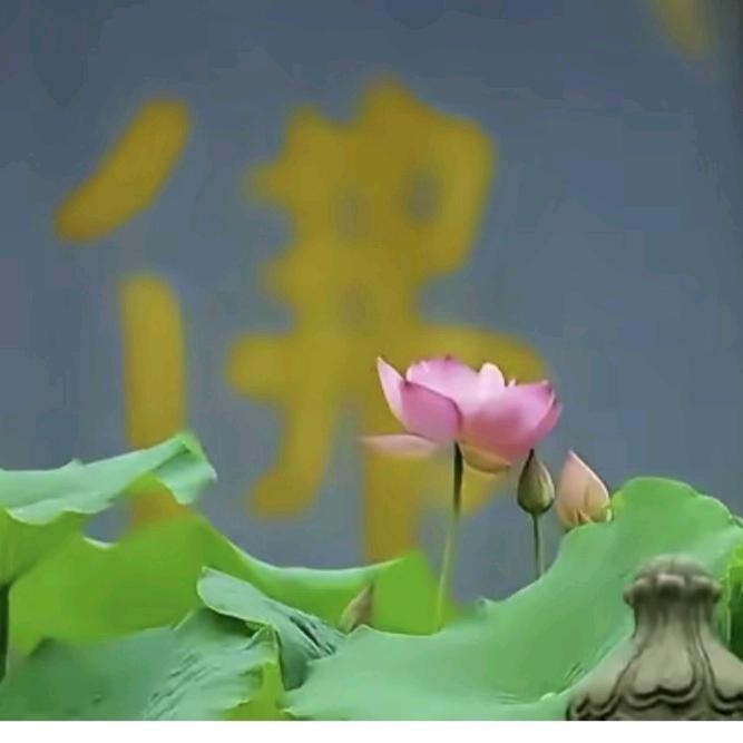 美美