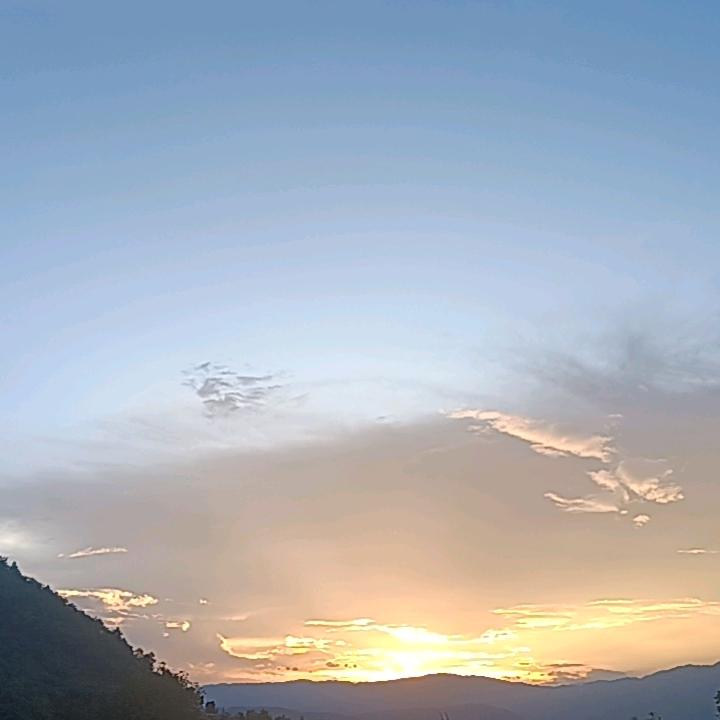 向🌻日🌼葵