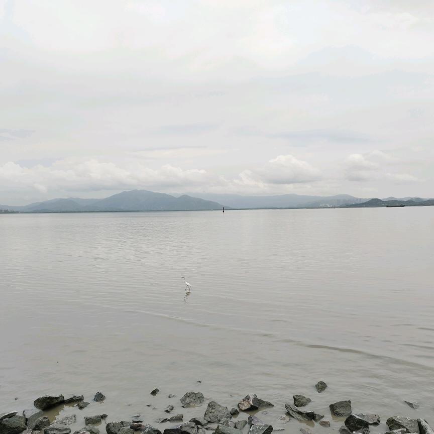 @雨🌸橙
