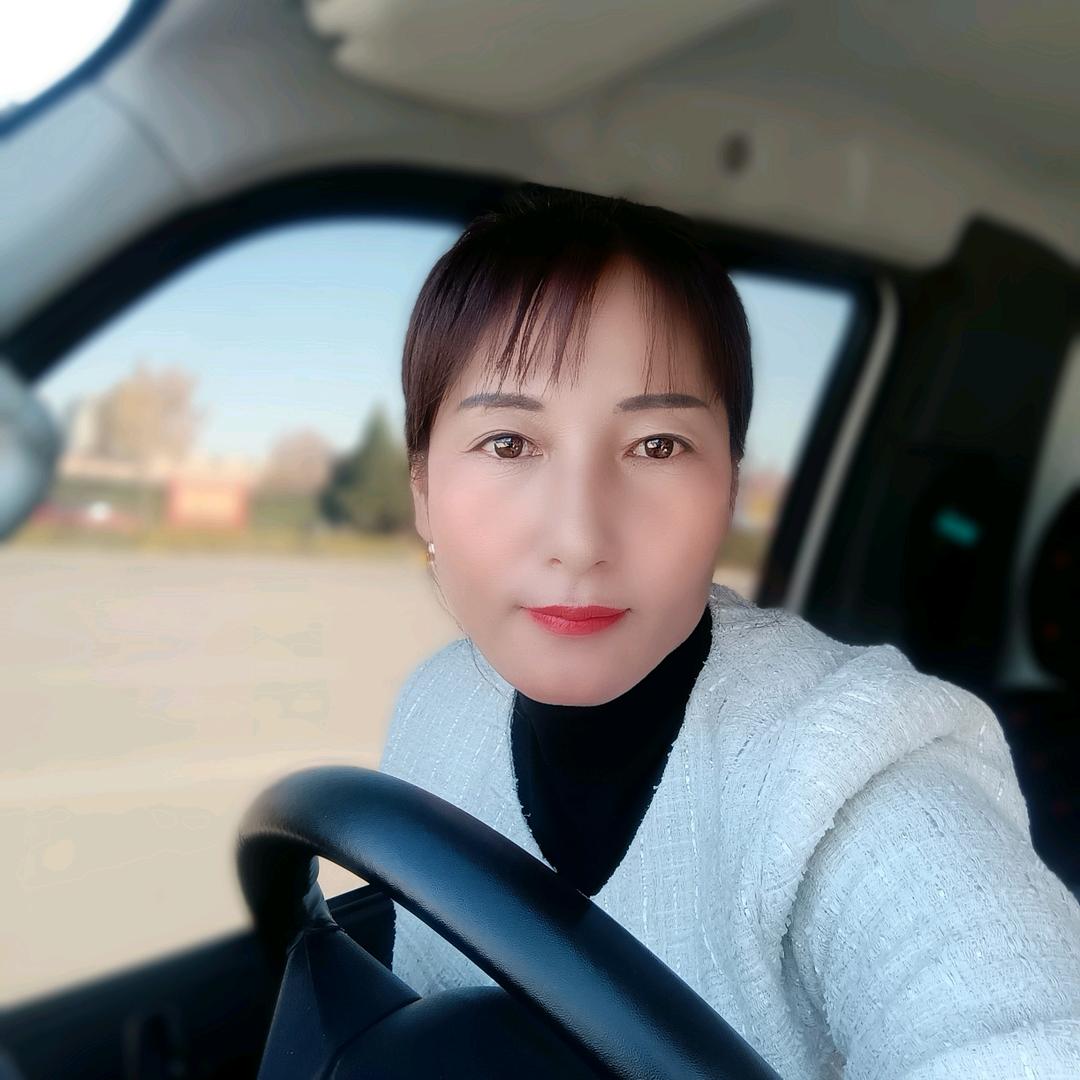 货运杨姐