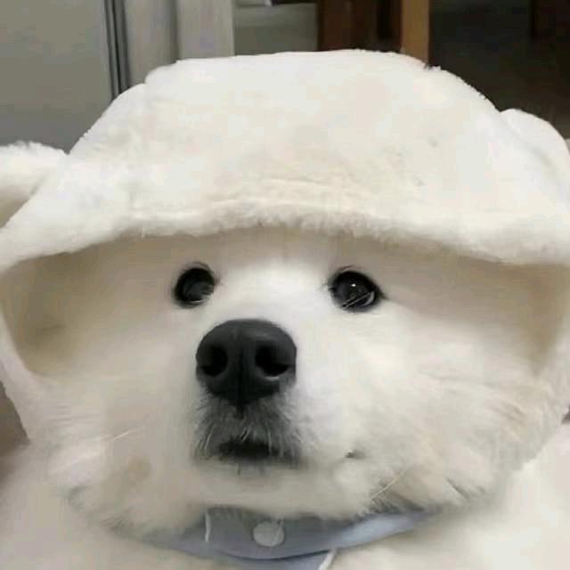 XJH