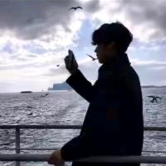 大鹏看房天津