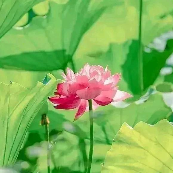加油(ง •̀_•́)ง宝贝(๑˙❥˙๑