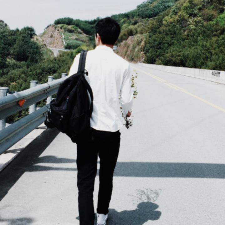 西北小野狼