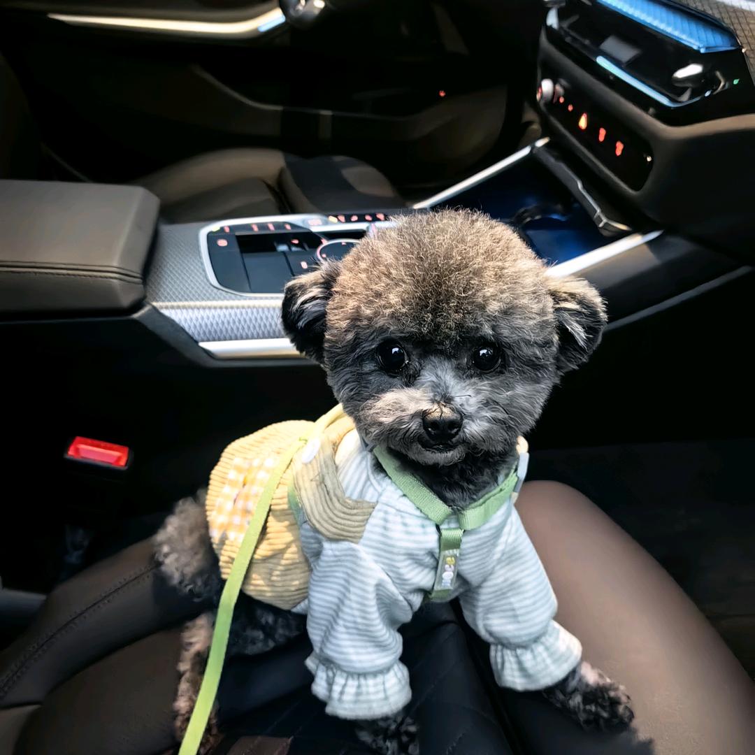 KATRINA  &COOHE 蔻赫女装