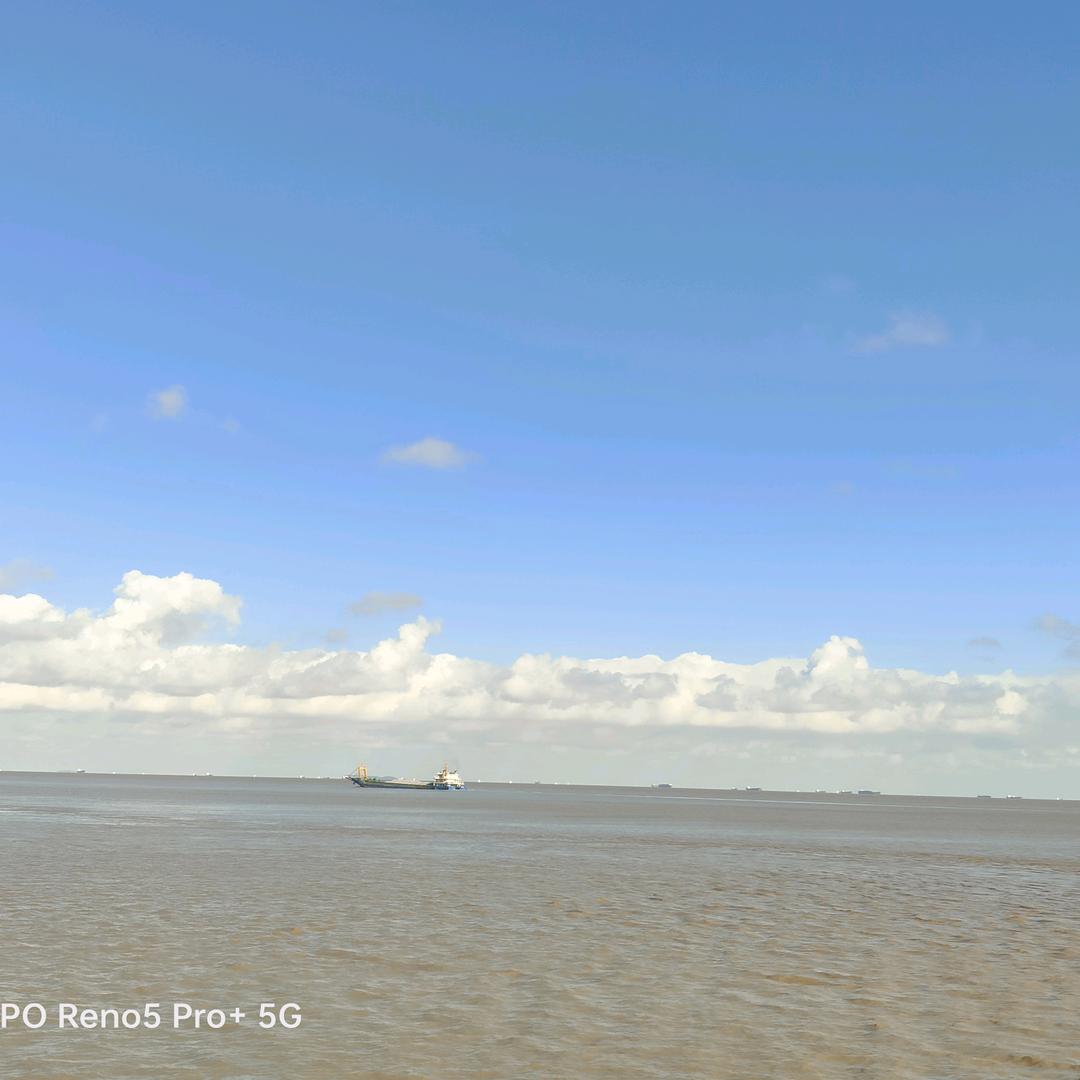 你来我往淘好物