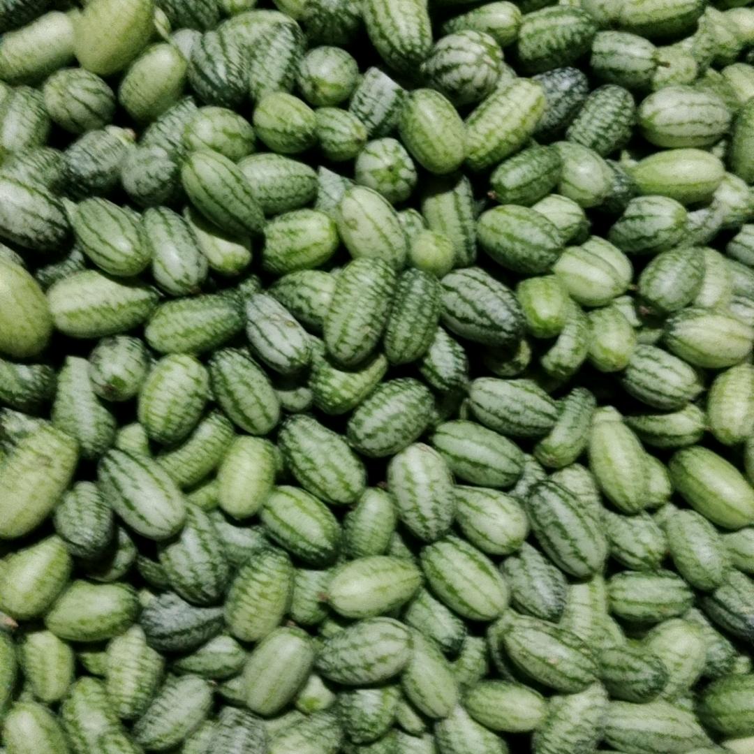 梅云慈好物严选