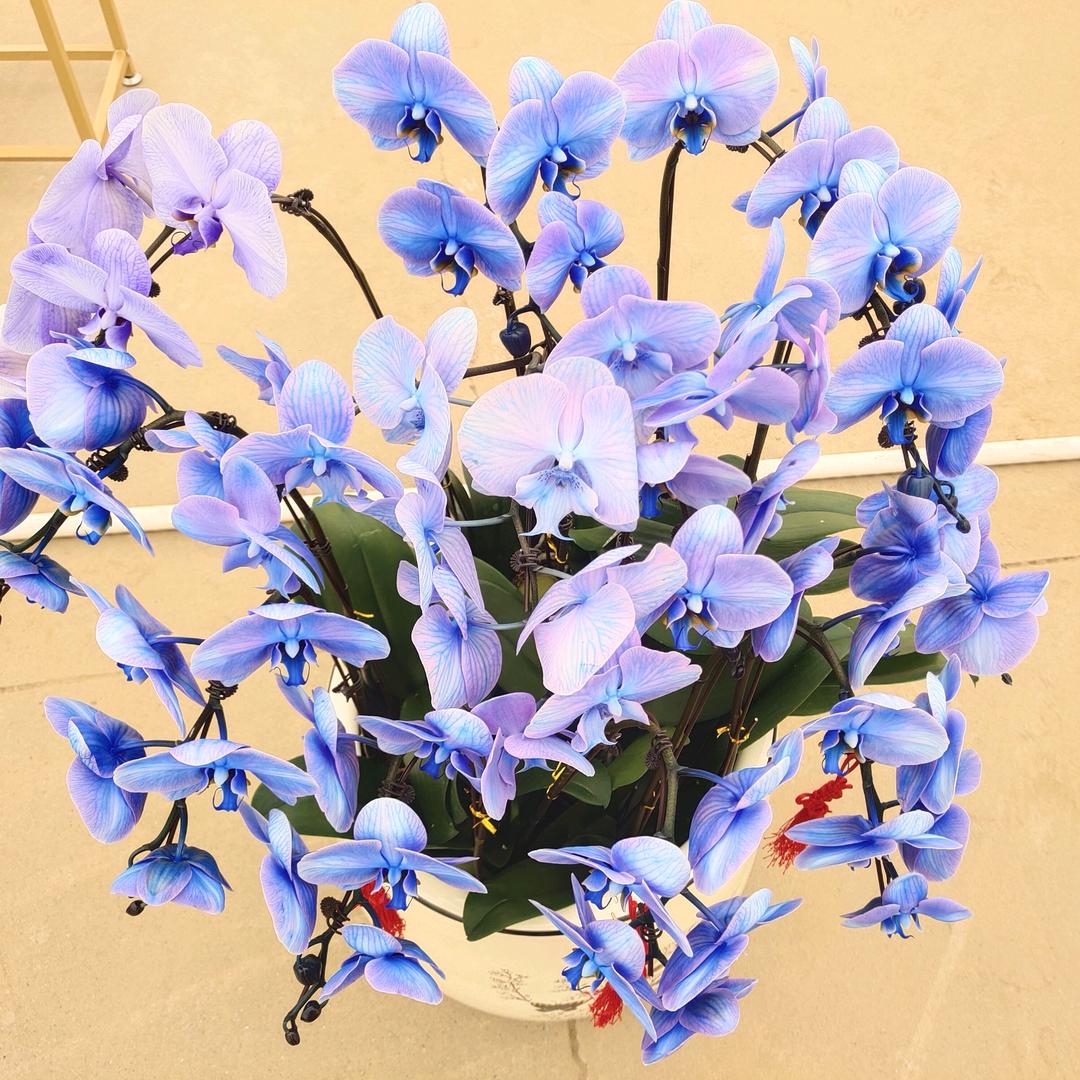 💓ꦿ相᭄忘💓江ꦿ湖᭄