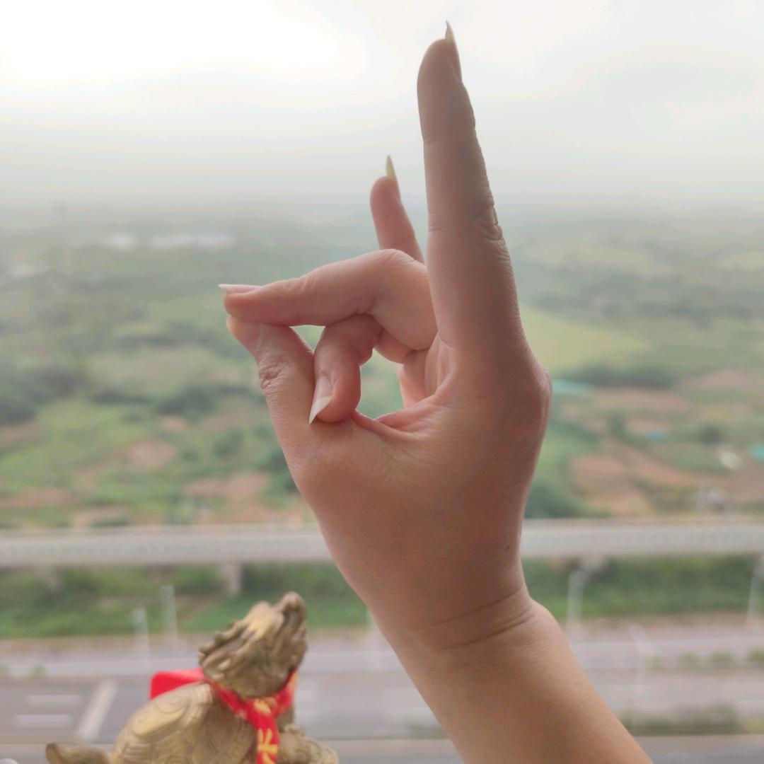 刘家二姐
