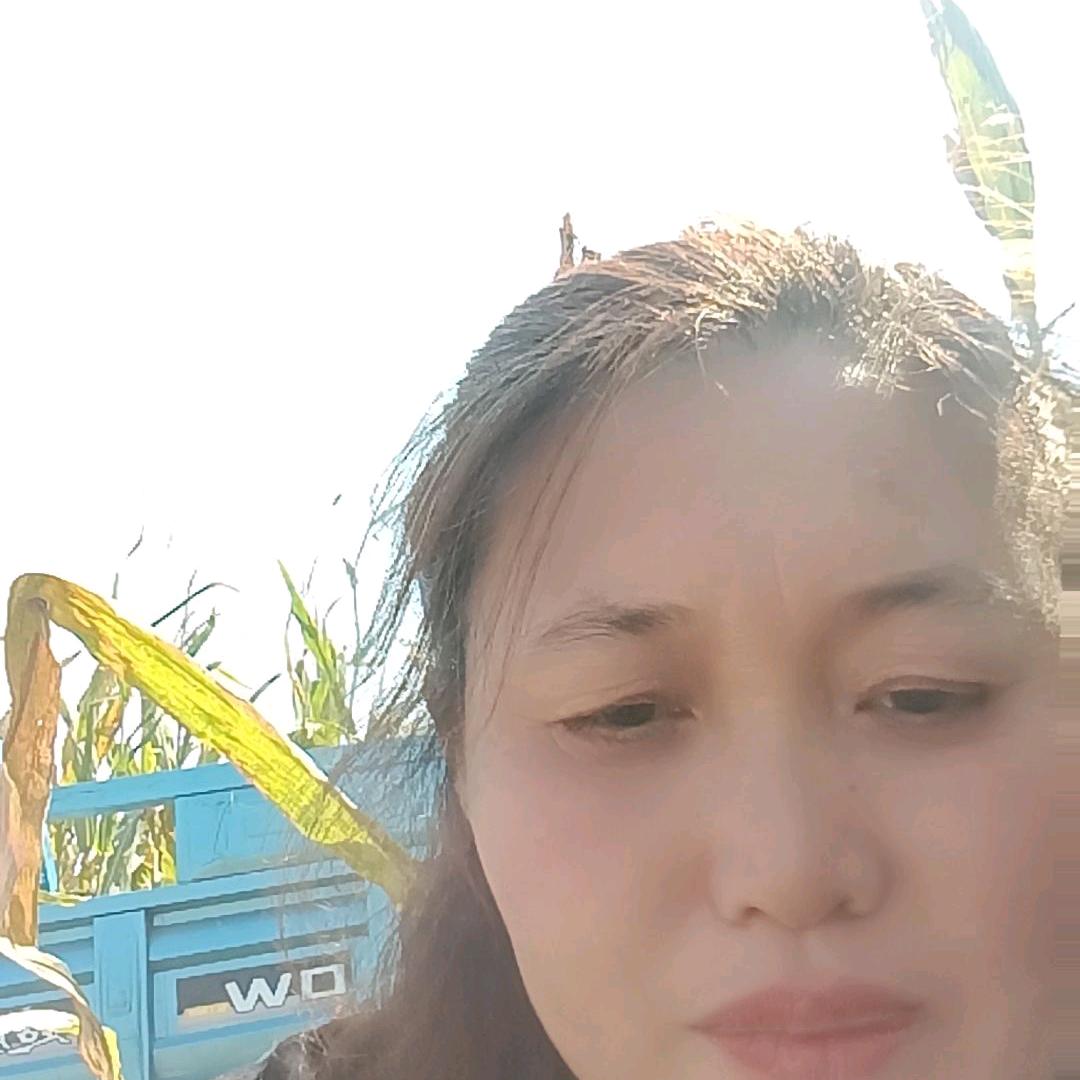 傻妞
