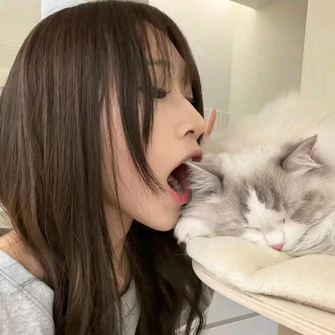 蜜茶