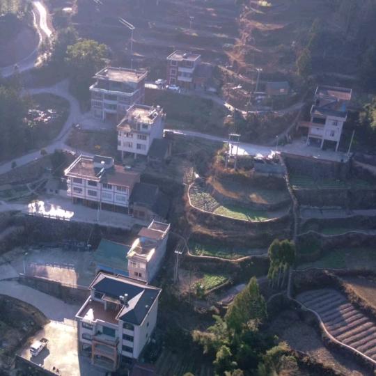 陶诺诺