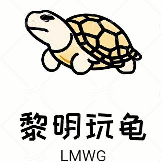 黎明玩龟（嘉创龟品）