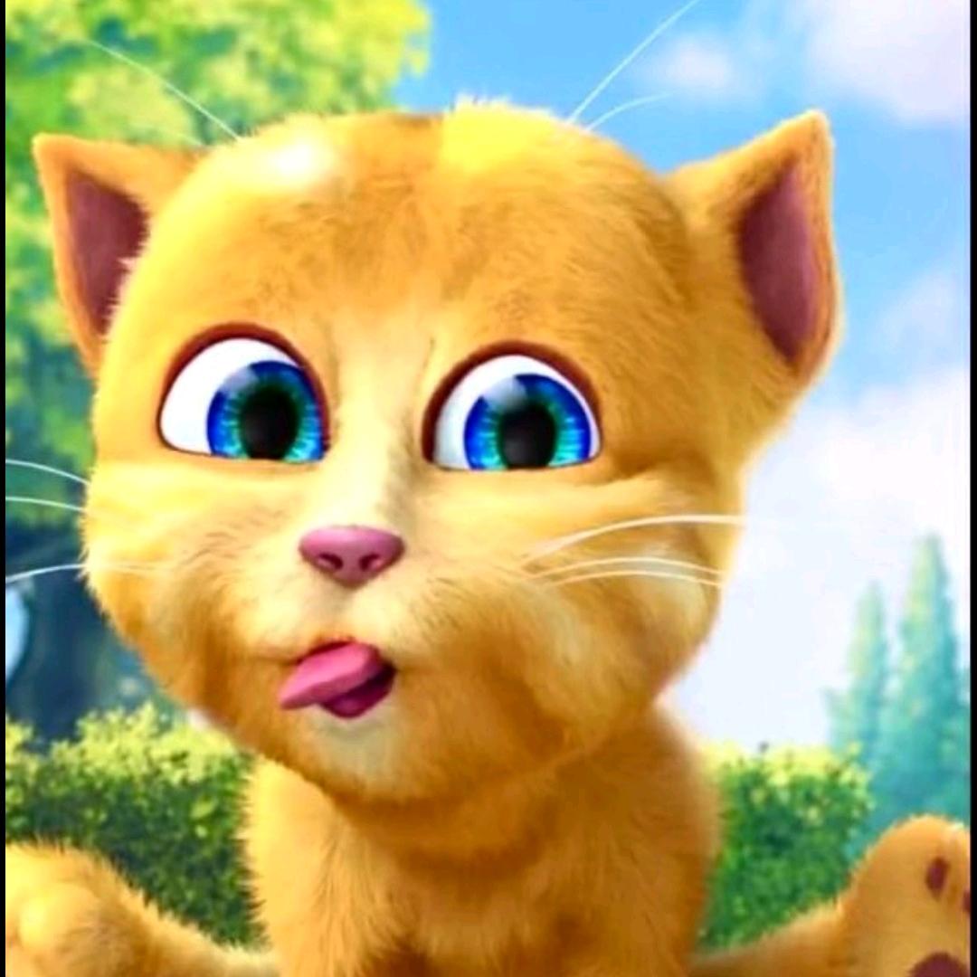 猫咪～小钰